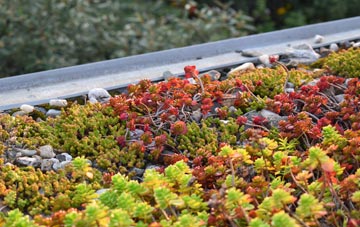 the cost of Ganarew green roof installation